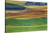 Palouse Area of Eastern Washington, USA-Stuart Westmorland-Stretched Canvas