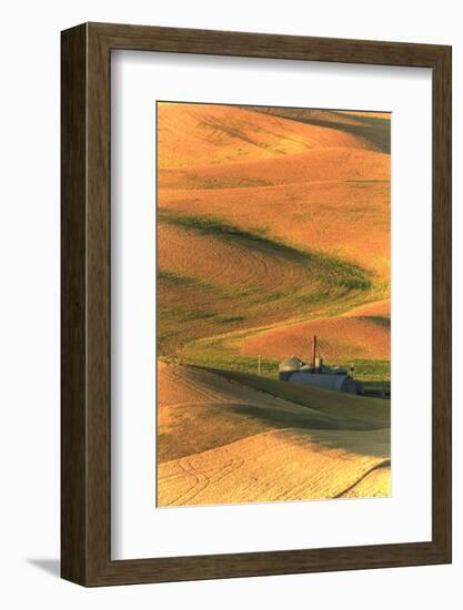 Palouse Area of Eastern Washington, USA-Stuart Westmorland-Framed Photographic Print