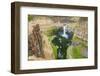 Palouse Falls State Park, Washington State, USA. Palouse Falls in Palouse Falls State Park.-Emily Wilson-Framed Photographic Print