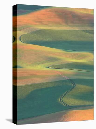 Palouse Farmland, View from Steptoe Butte, Whitman County, Washington, USA-Jamie & Judy Wild-Stretched Canvas