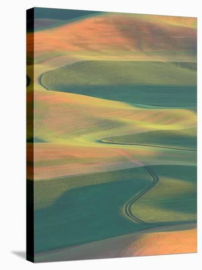 Palouse Farmland, View from Steptoe Butte, Whitman County, Washington, USA-Jamie & Judy Wild-Stretched Canvas