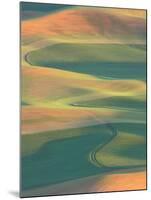 Palouse Farmland, View from Steptoe Butte, Whitman County, Washington, USA-Jamie & Judy Wild-Mounted Premium Photographic Print