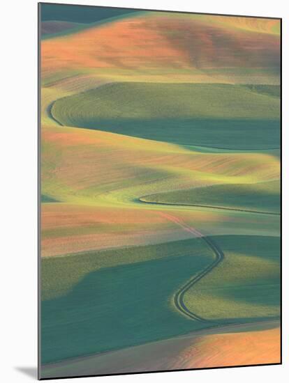 Palouse Farmland, View from Steptoe Butte, Whitman County, Washington, USA-Jamie & Judy Wild-Mounted Premium Photographic Print