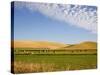 Palouse Farmland, Whitman County, Washington, USA-Jamie & Judy Wild-Stretched Canvas