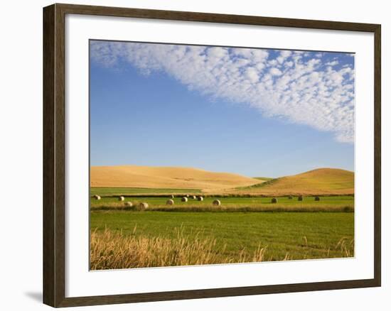 Palouse Farmland, Whitman County, Washington, USA-Jamie & Judy Wild-Framed Photographic Print