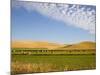 Palouse Farmland, Whitman County, Washington, USA-Jamie & Judy Wild-Mounted Photographic Print