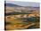 Palouse Farmland, Whitman County, Washington, USA-Jamie & Judy Wild-Stretched Canvas