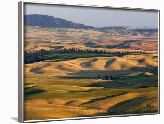 Palouse Farmland, Whitman County, Washington, USA-Jamie & Judy Wild-Framed Photographic Print