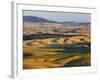 Palouse Farmland, Whitman County, Washington, USA-Jamie & Judy Wild-Framed Photographic Print