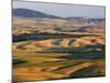 Palouse Farmland, Whitman County, Washington, USA-Jamie & Judy Wild-Mounted Photographic Print