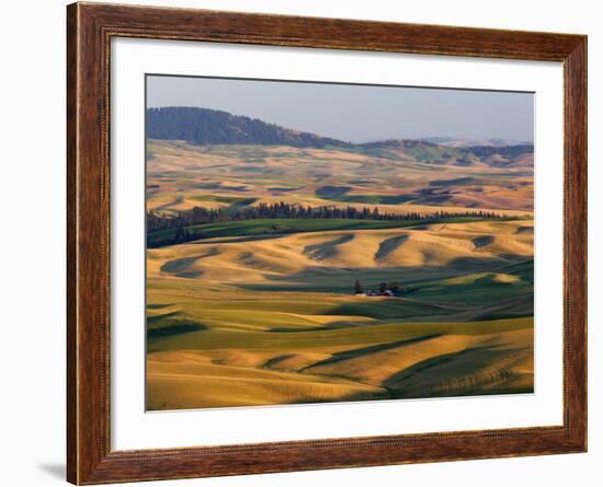 Palouse Farmland, Whitman County, Washington, USA-Jamie & Judy Wild-Framed Photographic Print