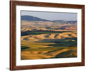Palouse Farmland, Whitman County, Washington, USA-Jamie & Judy Wild-Framed Photographic Print