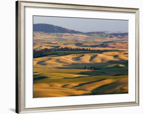 Palouse Farmland, Whitman County, Washington, USA-Jamie & Judy Wild-Framed Photographic Print