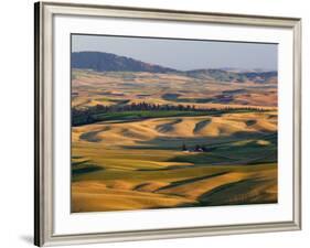 Palouse Farmland, Whitman County, Washington, USA-Jamie & Judy Wild-Framed Photographic Print