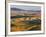 Palouse Farmland, Whitman County, Washington, USA-Jamie & Judy Wild-Framed Photographic Print