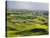 Palouse Farmland, Whitman County, Washington, USA-Jamie & Judy Wild-Stretched Canvas