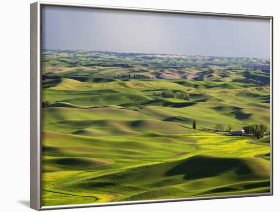 Palouse Farmland, Whitman County, Washington, USA-Jamie & Judy Wild-Framed Photographic Print