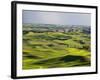 Palouse Farmland, Whitman County, Washington, USA-Jamie & Judy Wild-Framed Photographic Print