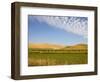 Palouse Farmland, Whitman County, Washington, USA-Jamie & Judy Wild-Framed Photographic Print