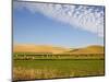 Palouse Farmland, Whitman County, Washington, USA-Jamie & Judy Wild-Mounted Photographic Print