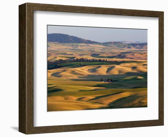 Palouse Farmland, Whitman County, Washington, USA-Jamie & Judy Wild-Framed Photographic Print