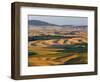 Palouse Farmland, Whitman County, Washington, USA-Jamie & Judy Wild-Framed Photographic Print