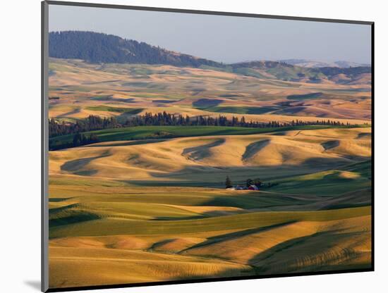 Palouse Farmland, Whitman County, Washington, USA-Jamie & Judy Wild-Mounted Photographic Print