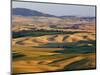 Palouse Farmland, Whitman County, Washington, USA-Jamie & Judy Wild-Mounted Photographic Print