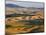 Palouse Farmland, Whitman County, Washington, USA-Jamie & Judy Wild-Mounted Photographic Print