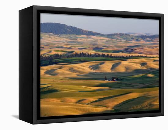 Palouse Farmland, Whitman County, Washington, USA-Jamie & Judy Wild-Framed Stretched Canvas