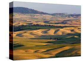 Palouse Farmland, Whitman County, Washington, USA-Jamie & Judy Wild-Stretched Canvas