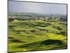 Palouse Farmland, Whitman County, Washington, USA-Jamie & Judy Wild-Mounted Photographic Print