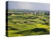 Palouse Farmland, Whitman County, Washington, USA-Jamie & Judy Wild-Stretched Canvas