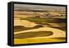 Palouse Fields, from Steptoe Butte, Steptoe Butte Sp, Washington-Michel Hersen-Framed Stretched Canvas