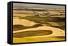 Palouse Fields, from Steptoe Butte, Steptoe Butte Sp, Washington-Michel Hersen-Framed Stretched Canvas