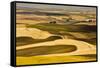 Palouse Fields, from Steptoe Butte, Steptoe Butte Sp, Washington-Michel Hersen-Framed Stretched Canvas
