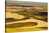 Palouse Fields, from Steptoe Butte, Steptoe Butte Sp, Washington-Michel Hersen-Stretched Canvas