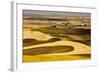 Palouse Fields, from Steptoe Butte, Steptoe Butte Sp, Washington-Michel Hersen-Framed Photographic Print