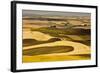 Palouse Fields, from Steptoe Butte, Steptoe Butte Sp, Washington-Michel Hersen-Framed Photographic Print