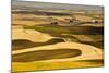 Palouse Fields, from Steptoe Butte, Steptoe Butte Sp, Washington-Michel Hersen-Mounted Photographic Print