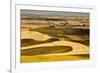 Palouse Fields, from Steptoe Butte, Steptoe Butte Sp, Washington-Michel Hersen-Framed Photographic Print