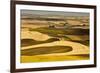 Palouse Fields, from Steptoe Butte, Steptoe Butte Sp, Washington-Michel Hersen-Framed Photographic Print