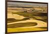 Palouse Fields, from Steptoe Butte, Steptoe Butte Sp, Washington-Michel Hersen-Framed Photographic Print