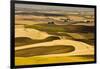 Palouse Fields, from Steptoe Butte, Steptoe Butte Sp, Washington-Michel Hersen-Framed Photographic Print