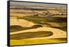 Palouse Fields, from Steptoe Butte, Steptoe Butte Sp, Washington-Michel Hersen-Framed Stretched Canvas