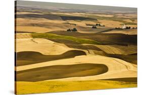 Palouse Fields, from Steptoe Butte, Steptoe Butte Sp, Washington-Michel Hersen-Stretched Canvas