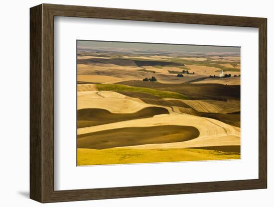 Palouse Fields, from Steptoe Butte, Steptoe Butte Sp, Washington-Michel Hersen-Framed Photographic Print