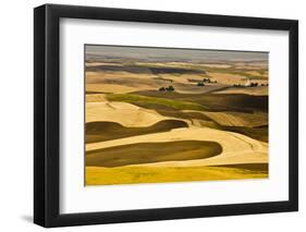 Palouse Fields, from Steptoe Butte, Steptoe Butte Sp, Washington-Michel Hersen-Framed Photographic Print