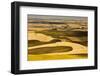 Palouse Fields, from Steptoe Butte, Steptoe Butte Sp, Washington-Michel Hersen-Framed Photographic Print