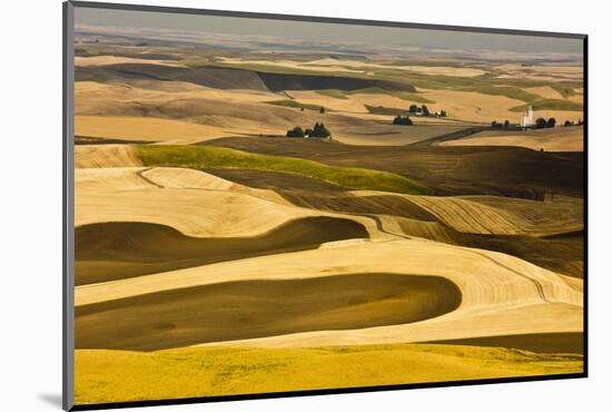 Palouse Fields, from Steptoe Butte, Steptoe Butte Sp, Washington-Michel Hersen-Mounted Photographic Print